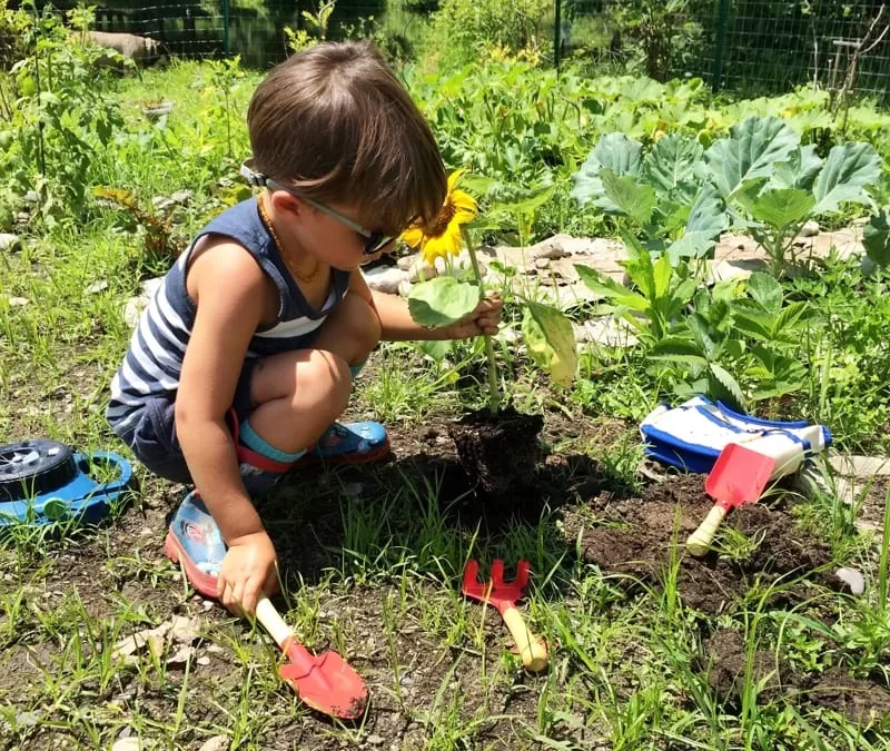 3. Giardino Sensoriale – II Parte