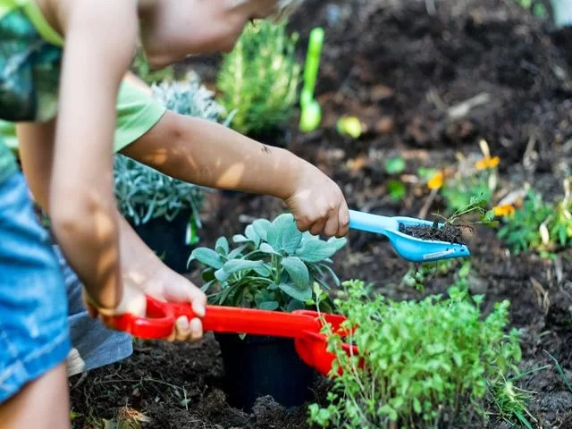 5. La civiltà rurale